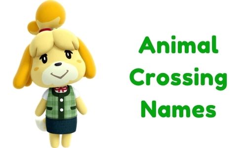 1000+ » Animal Crossing Names » [ Funny + Unique + Famous ]