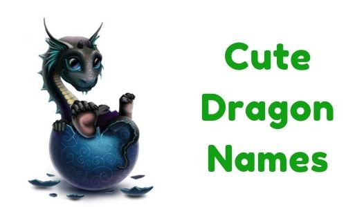 Cute Dragon Names