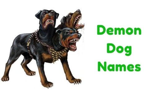  1000 Demon Dog Names Funny Unique Famous Badass 