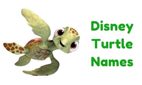 Disney Turtle Names