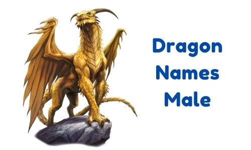 Dragon Names Male