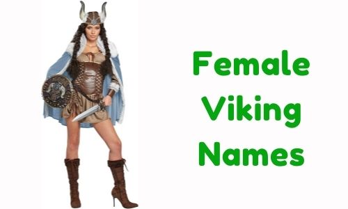 Viking Shield Maiden Name Generator