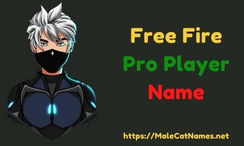 nombres para free fire pro player