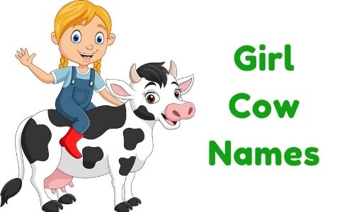 Girl Cow Names