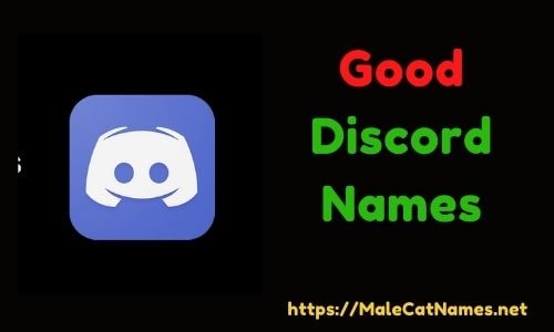 funny discord names picture