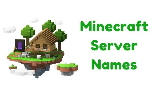 Minecraft Server Names