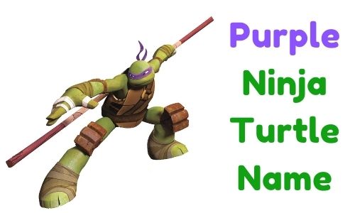 Purple Ninja Turtle Name