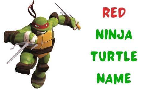 Red Ninja Turtle Name