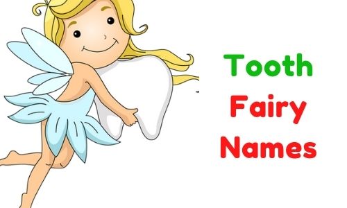 toothfairy names