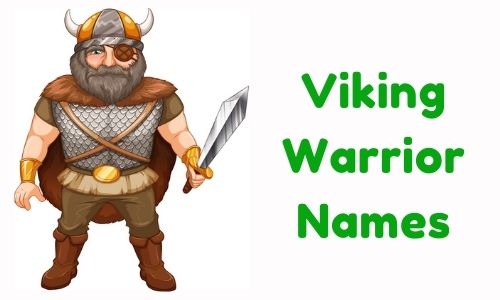 1000-viking-warrior-names-funny-unique-famous-badass